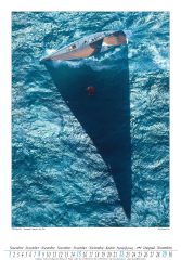 CAL GRANDE VELA 2026-med_Pagina_12